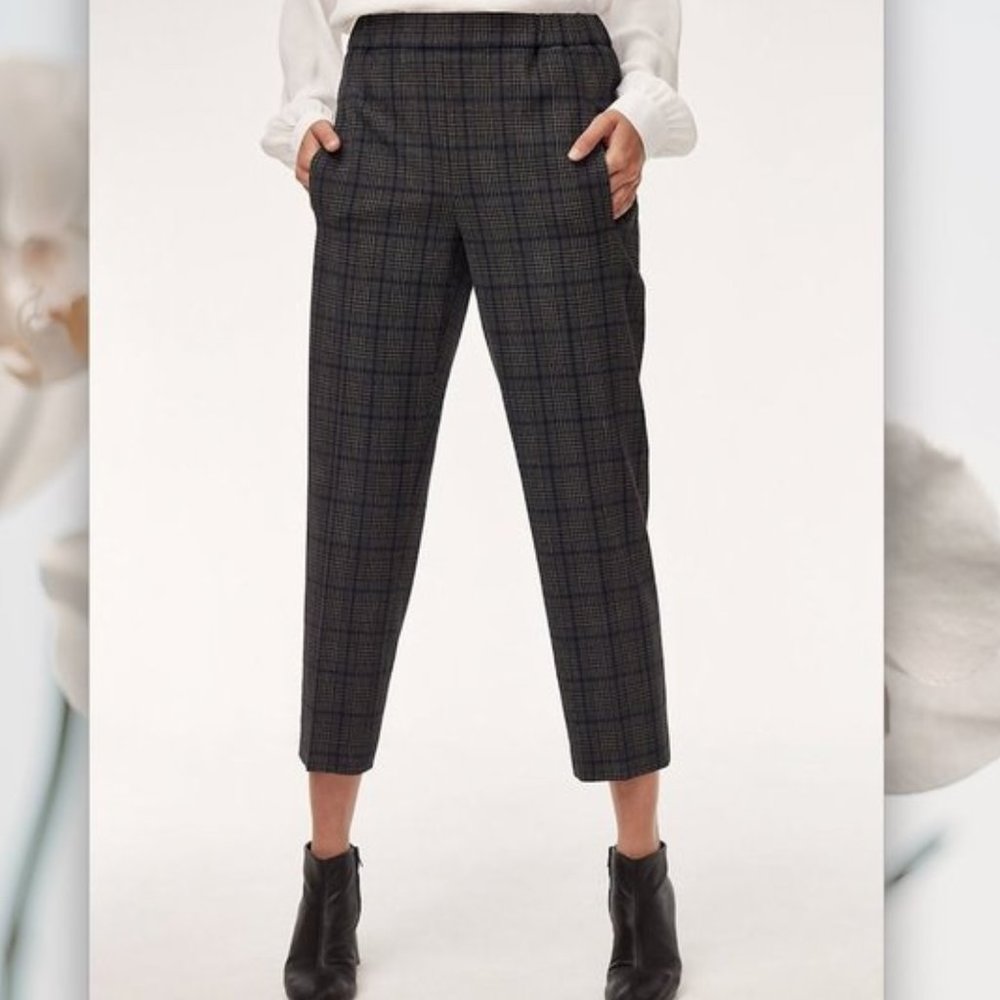 Aritzia Wilfred Darontal pants